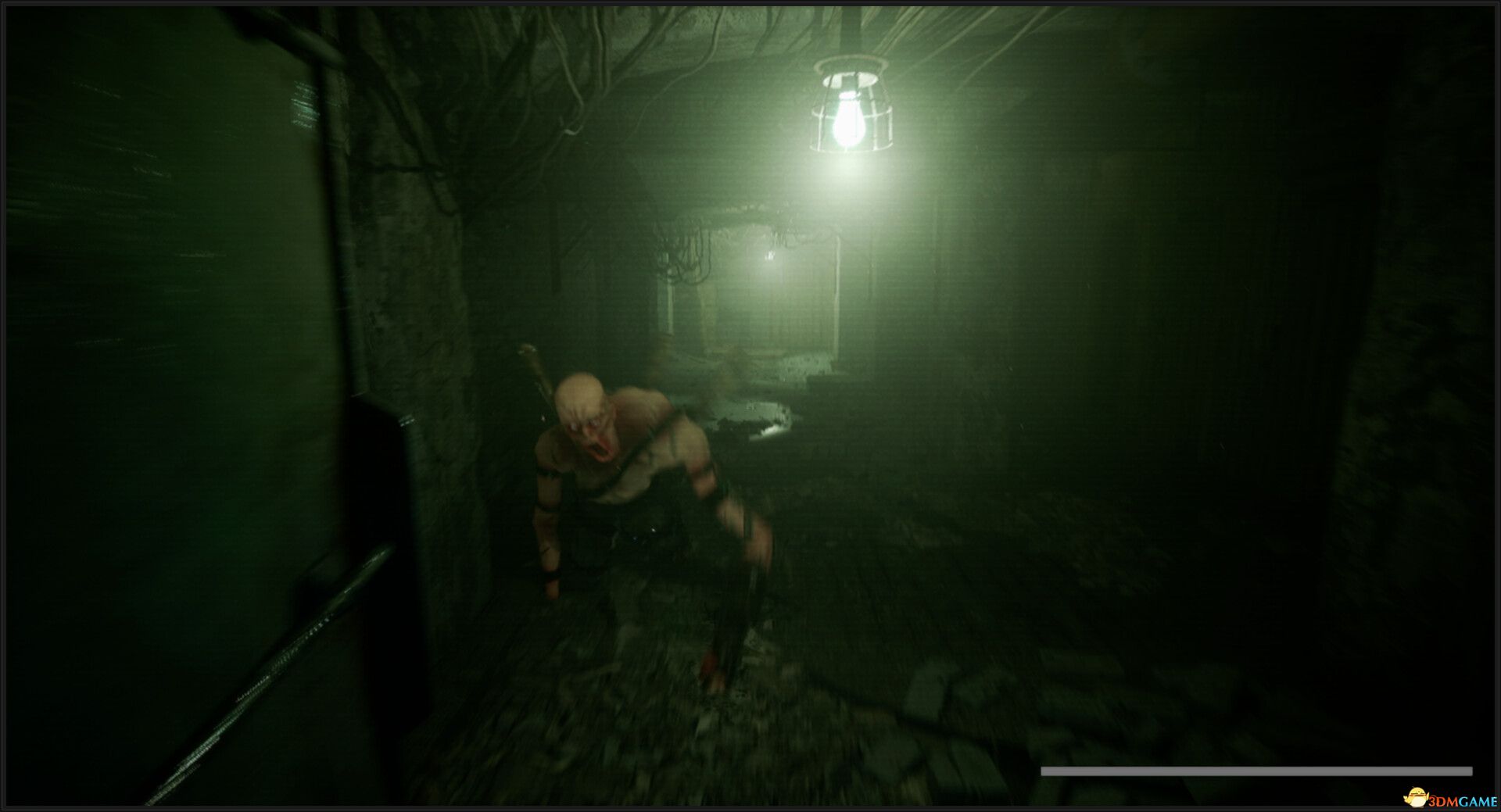 凯尔德(KELDER)官方中文 DOGE镜像版