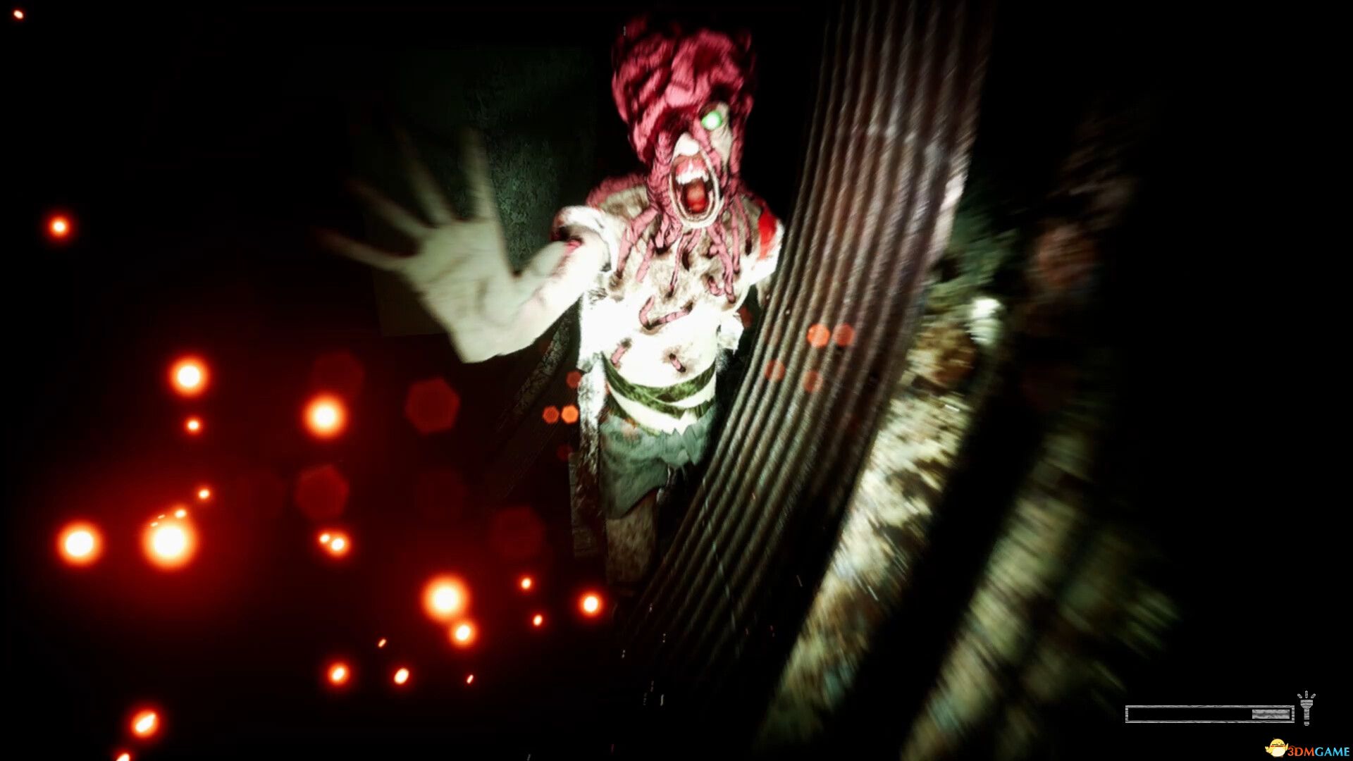 凯尔德(KELDER)官方中文 DOGE镜像版