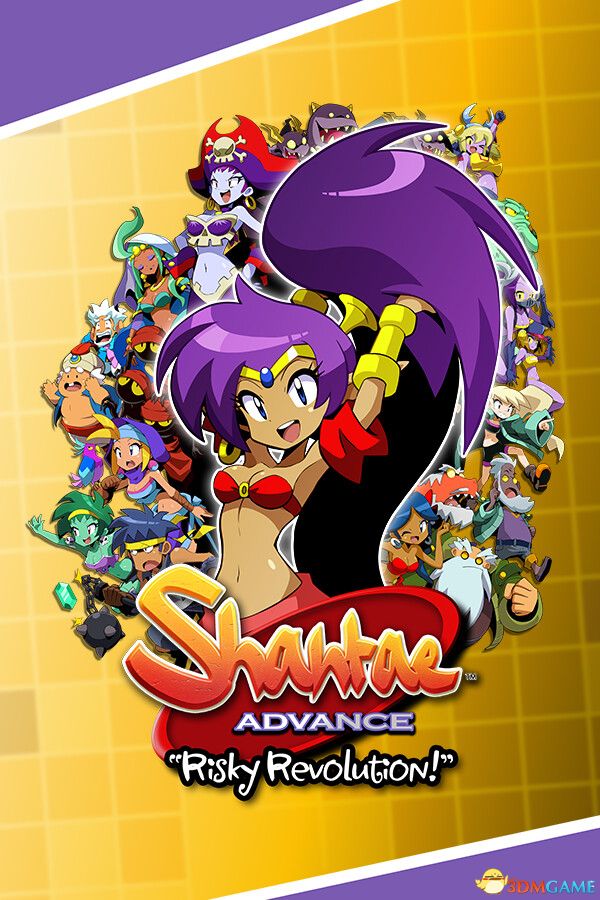 桑塔前进：瑞斯奇革命（Shantae Advance: Risky Revolution）VACE硬盘版