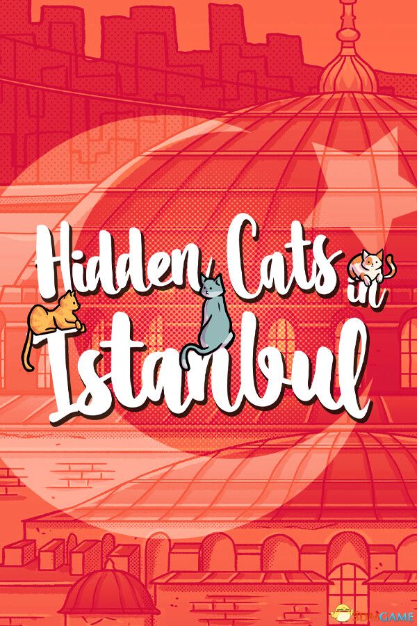 隐藏在伊斯坦布尔的猫（Hidden Cats in Istanbul）|解压即玩|