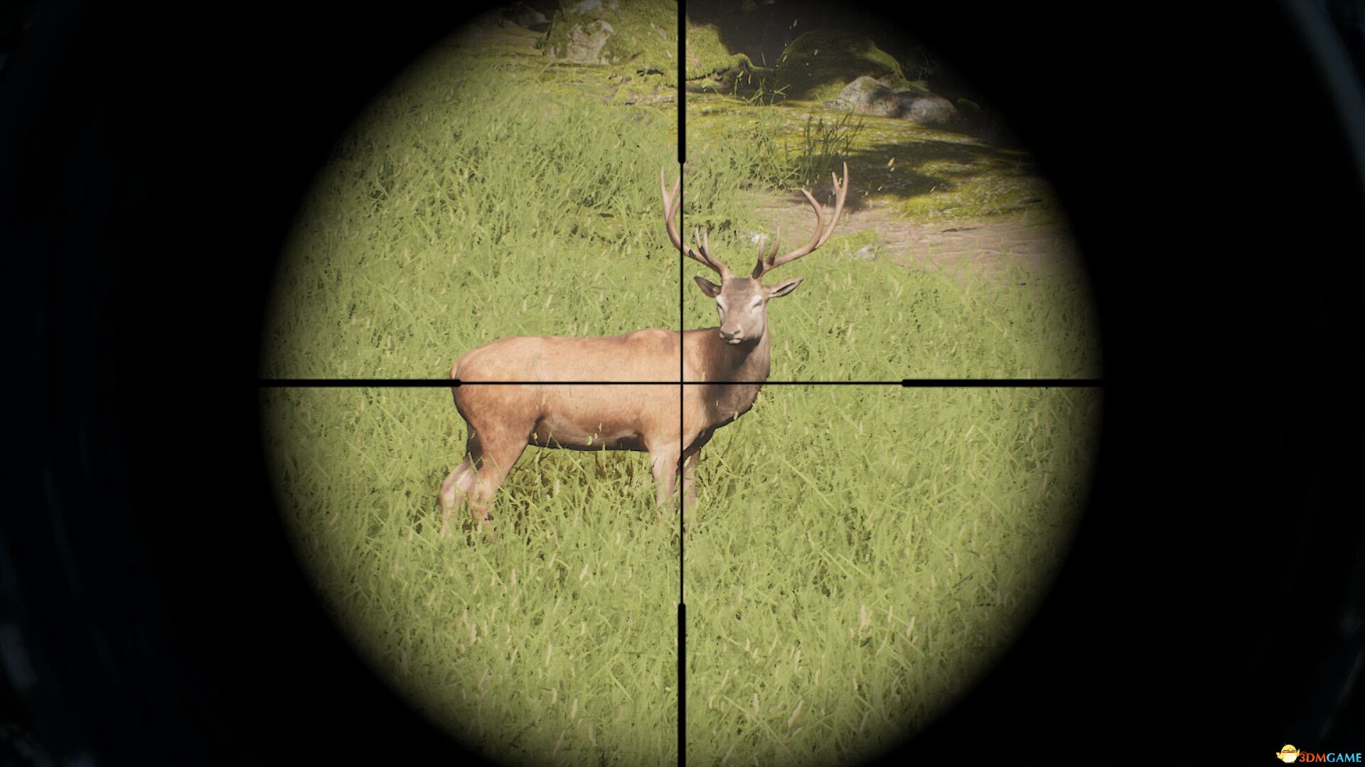 狩猎计划（Project Hunt）官方中文 集成孤星狩猎牧场DLC |解压即玩|