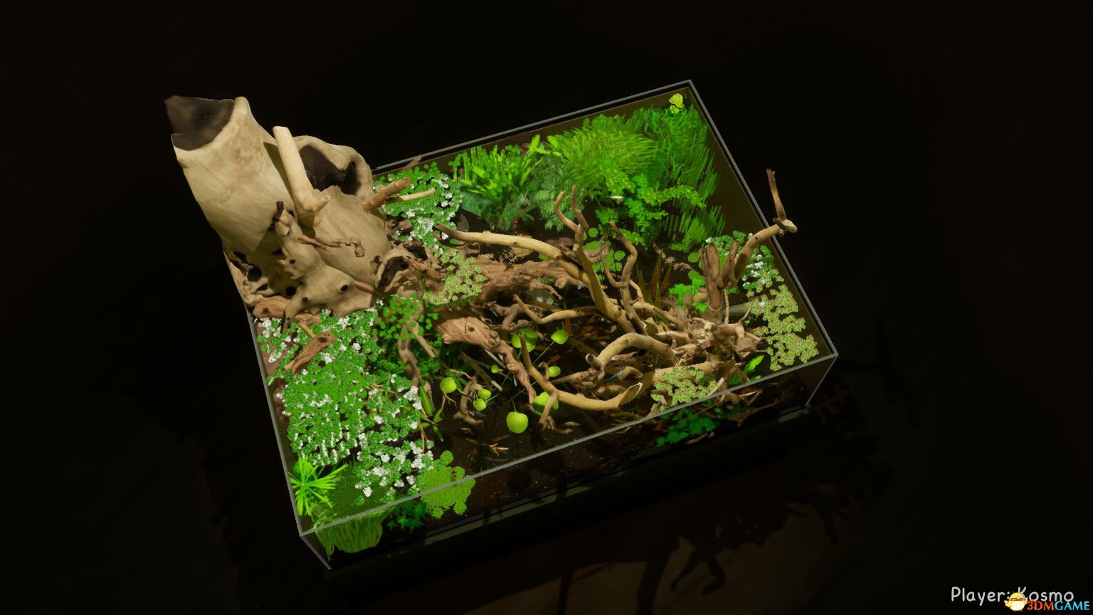 养鱼模拟器（Fish Game）集成贝塔鱼套装1 DLC |解压即玩|