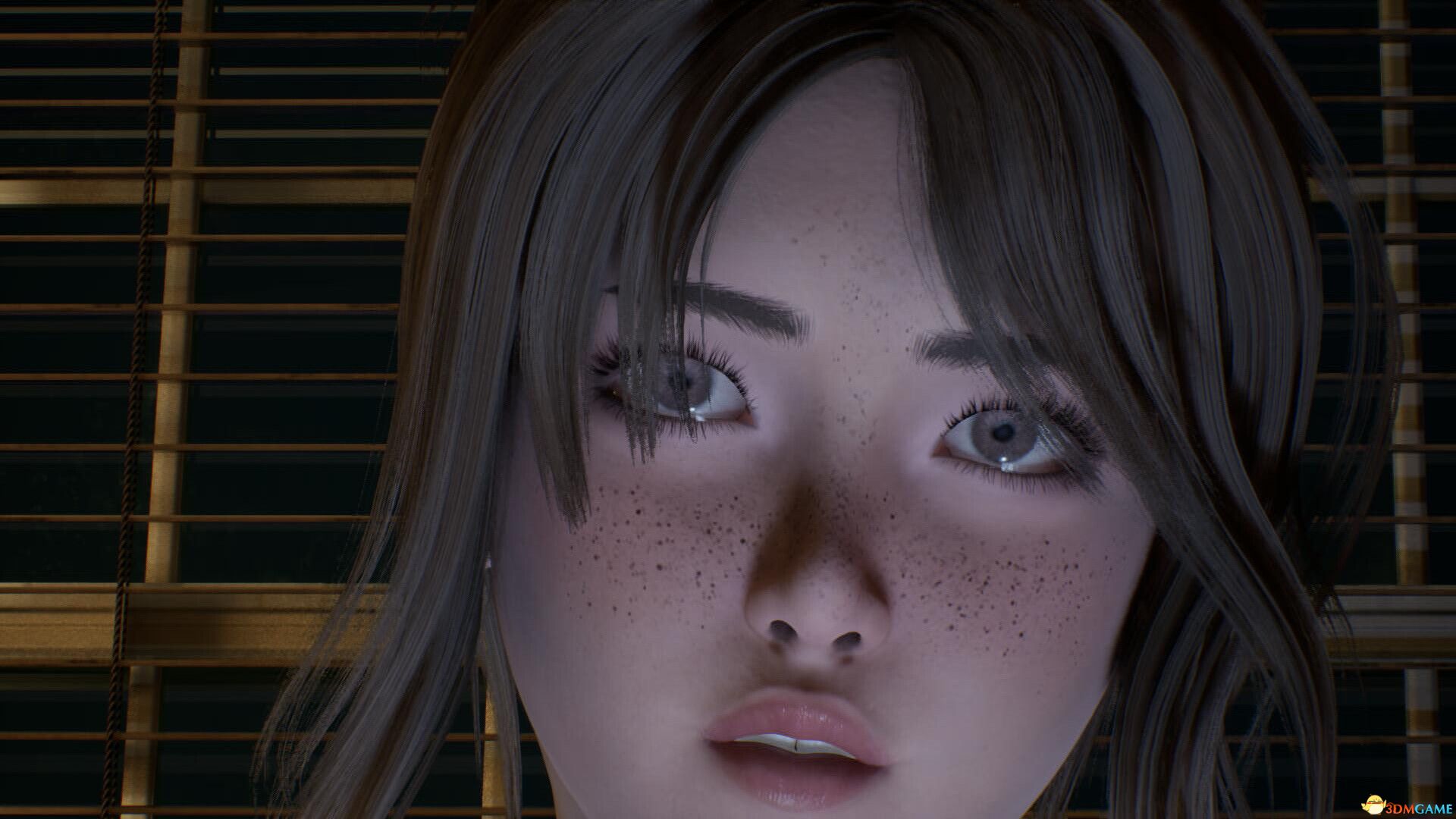 伊芙琳的游戏(The Evelyn Game)官方中文 |解压即玩|