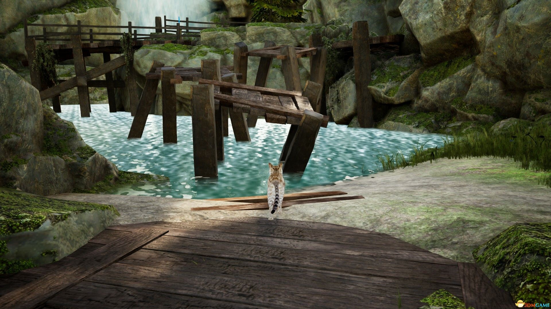 好奇心（Curiosity）|解压即玩|