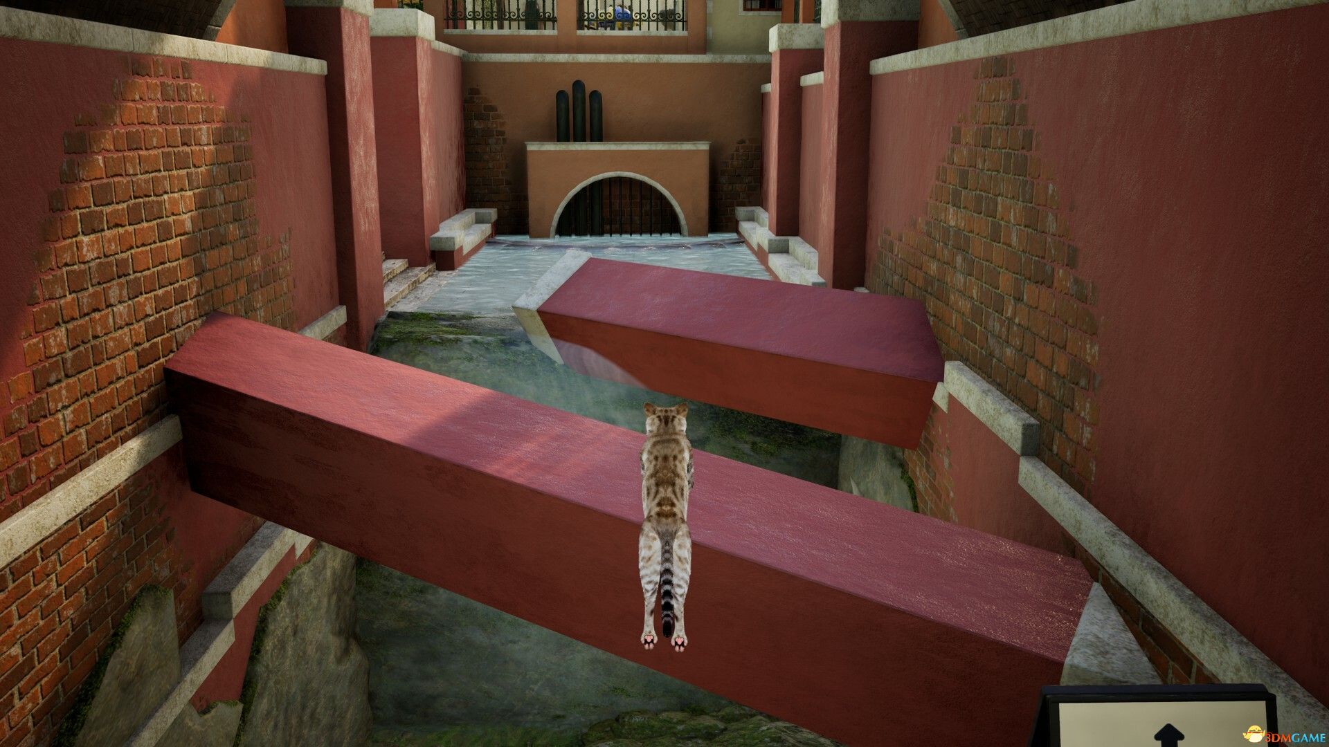 好奇心（Curiosity）|解压即玩|