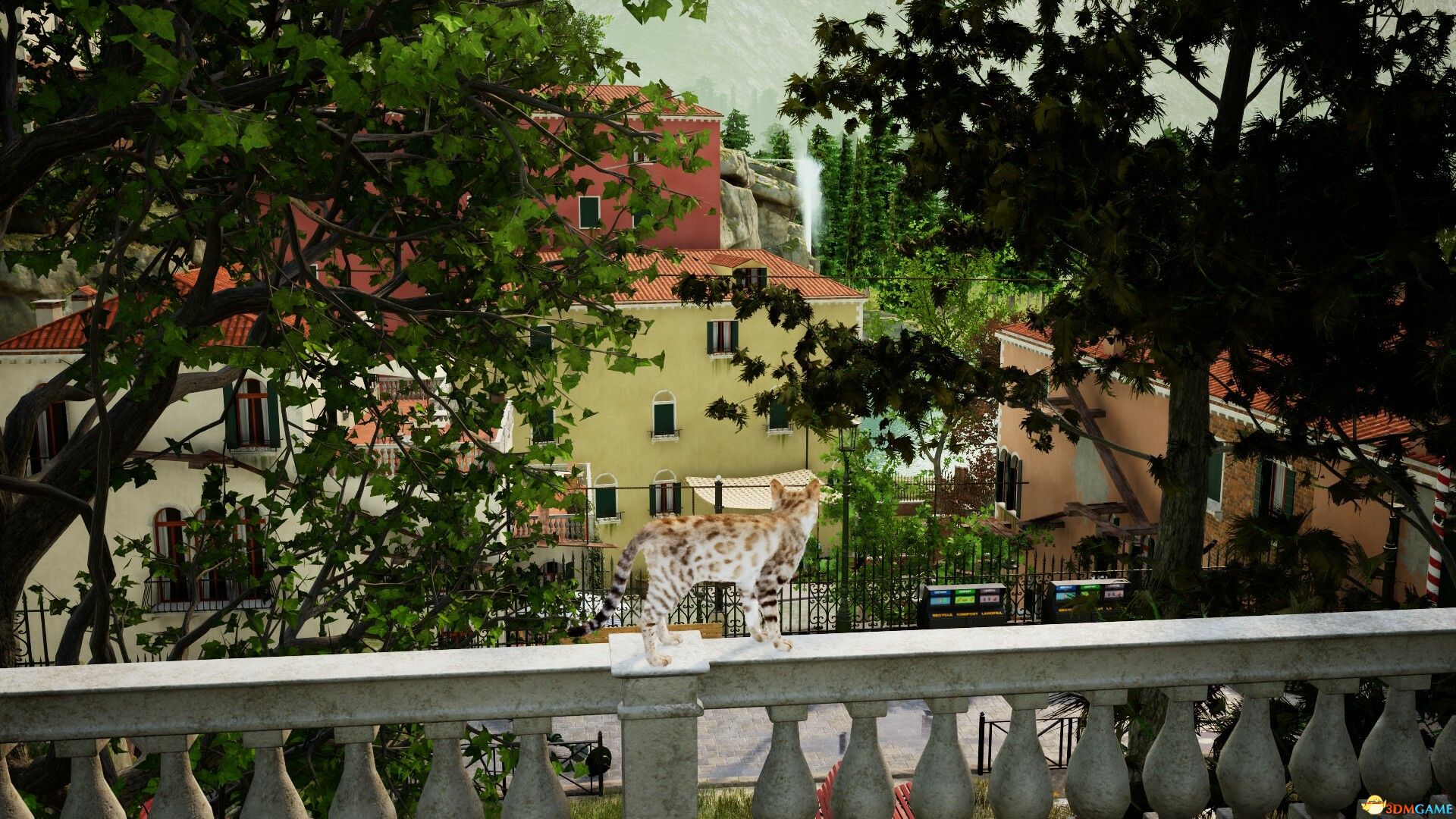 好奇心（Curiosity）|解压即玩|