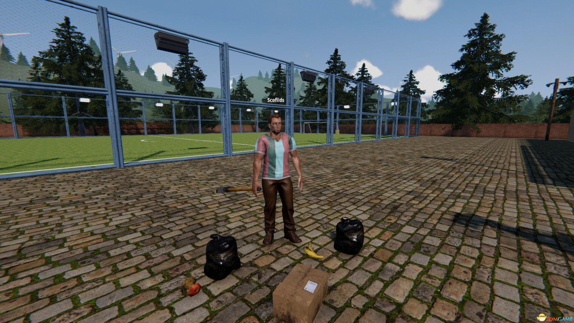 足球场模拟器（Football Pitch Simulator）官方中文 Build 20362264 |解压即玩|