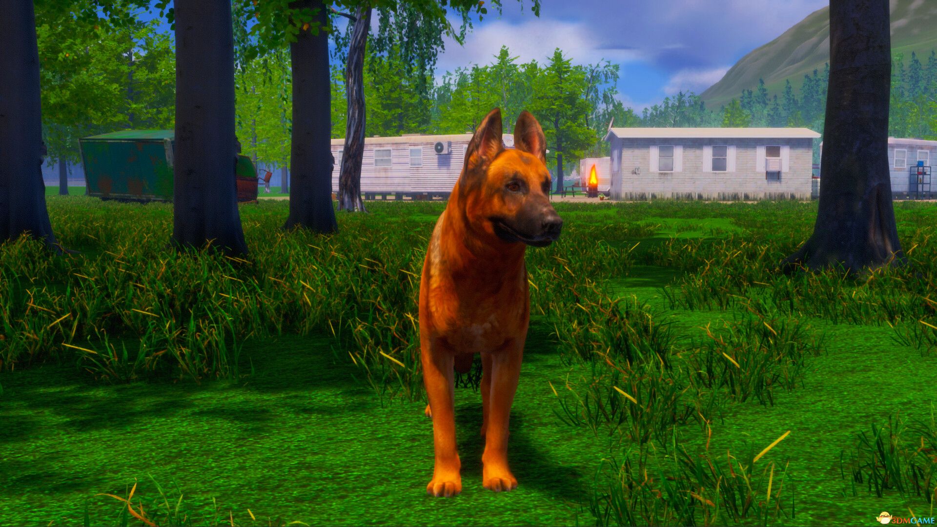 迷途狗爪（Lost Paws）官方中文 |解压即玩|