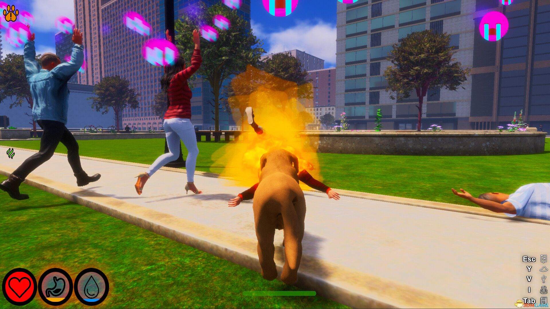 迷途狗爪（Lost Paws）官方中文 |解压即玩|