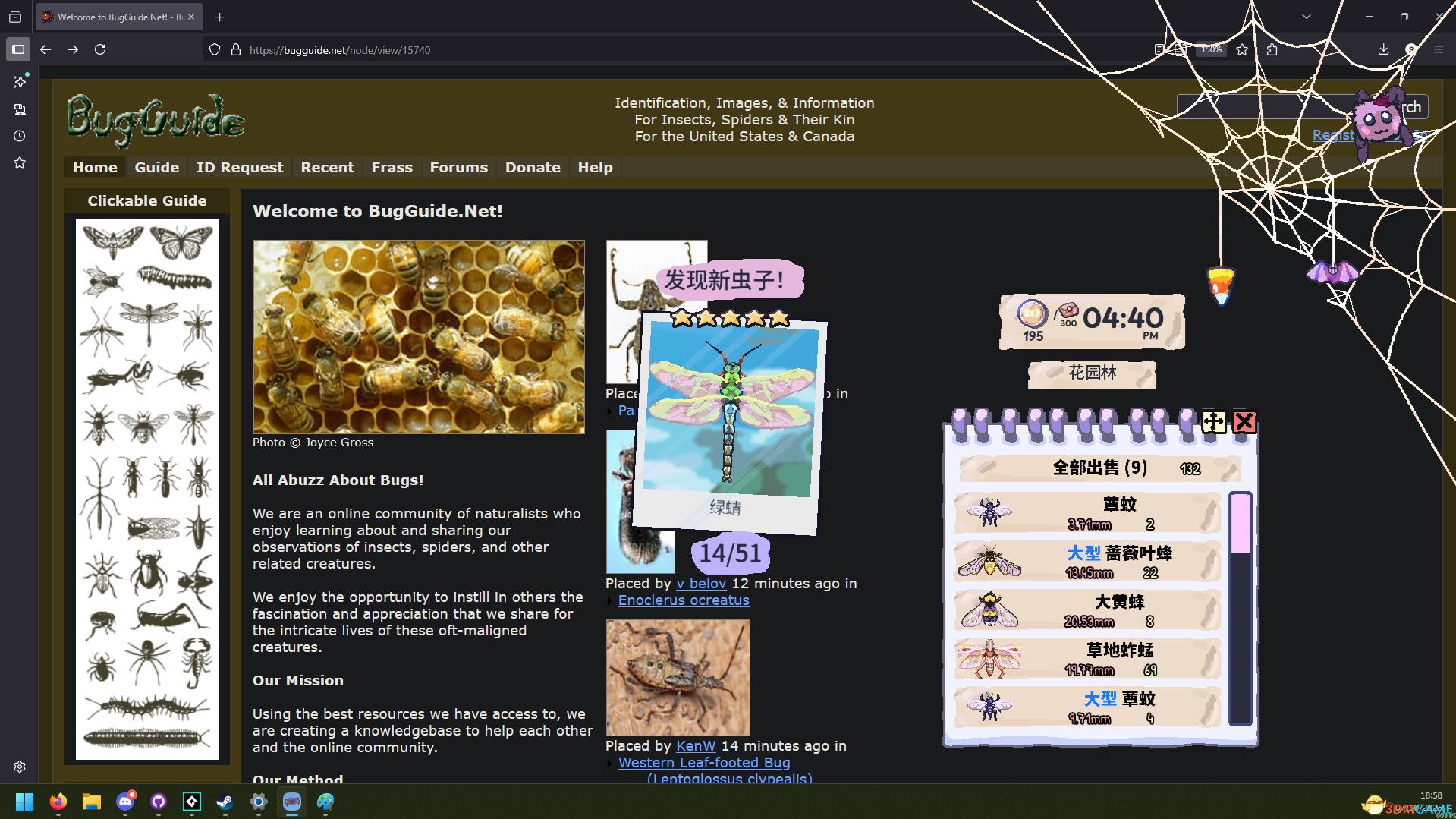 我的小小蜘蛛（My Little Spider）官方中文 Build 20861628 |解压即玩|