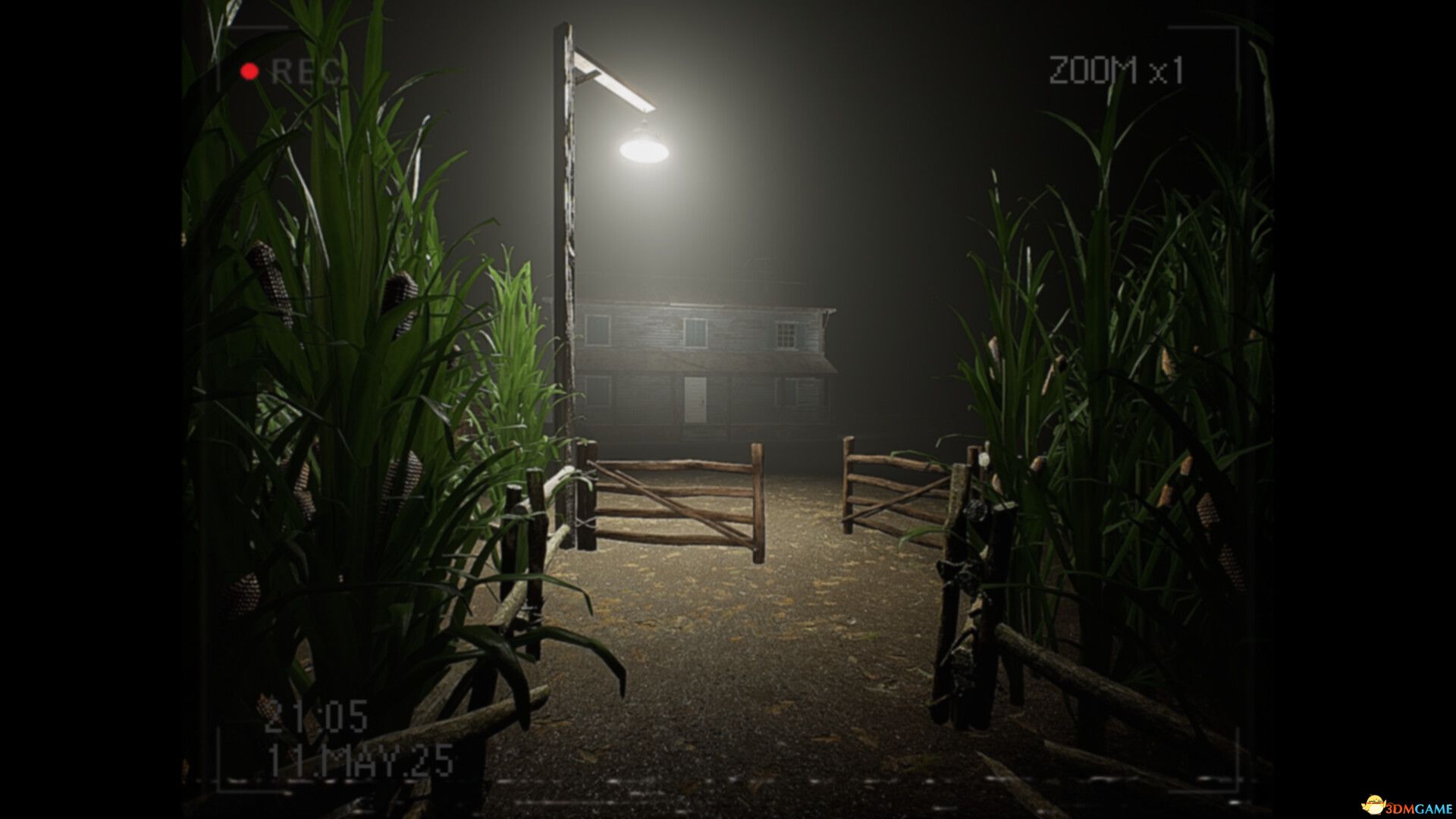 莉莉发生了什么?(What Happened to Lily?)官方中文 Build 19335260 |解压即玩|