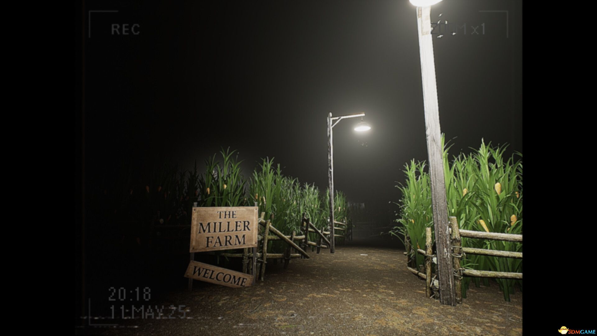 莉莉发生了什么?(What Happened to Lily?)官方中文 Build 19335260 |解压即玩|