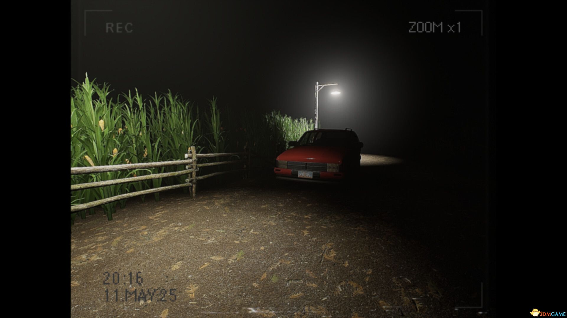 莉莉发生了什么?(What Happened to Lily?)官方中文 Build 19335260 |解压即玩|