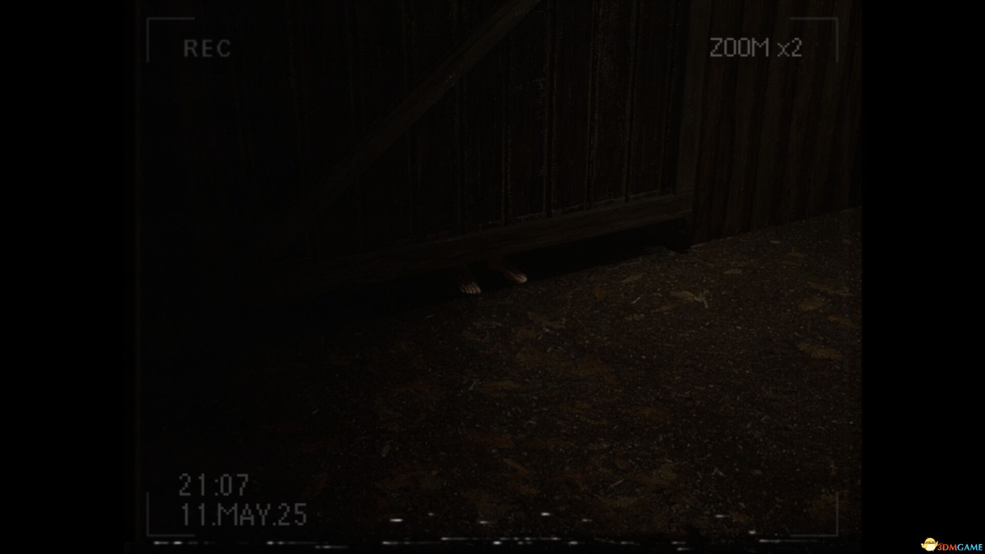 莉莉发生了什么?(What Happened to Lily?)官方中文 Build 19335260 |解压即玩|