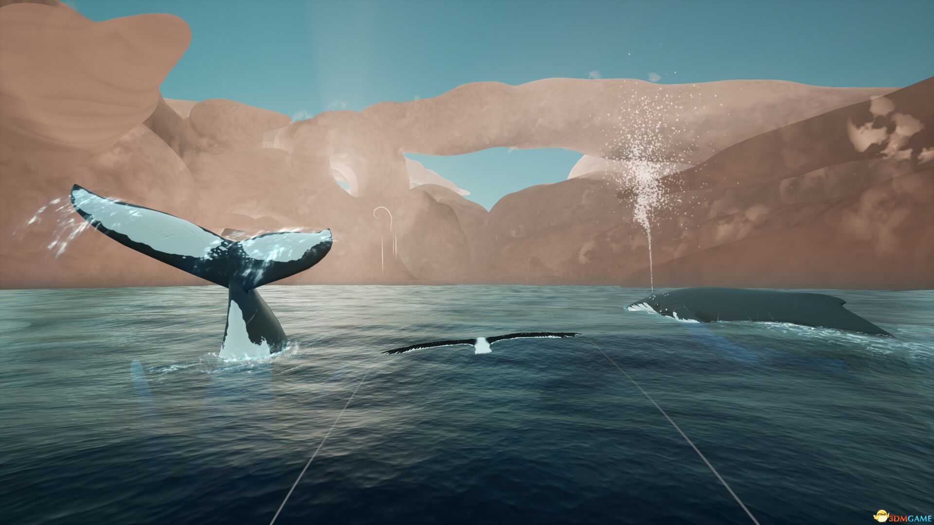 托罗阿：天际呼唤（Toroa: Skycall）|解压即玩|