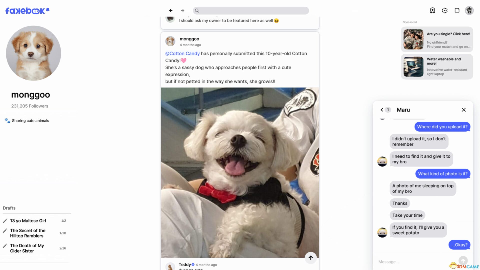 《伪社交（FAKEBOOK）》Build 21460802 P2P硬盘版[EN] 休闲解谜-第3张