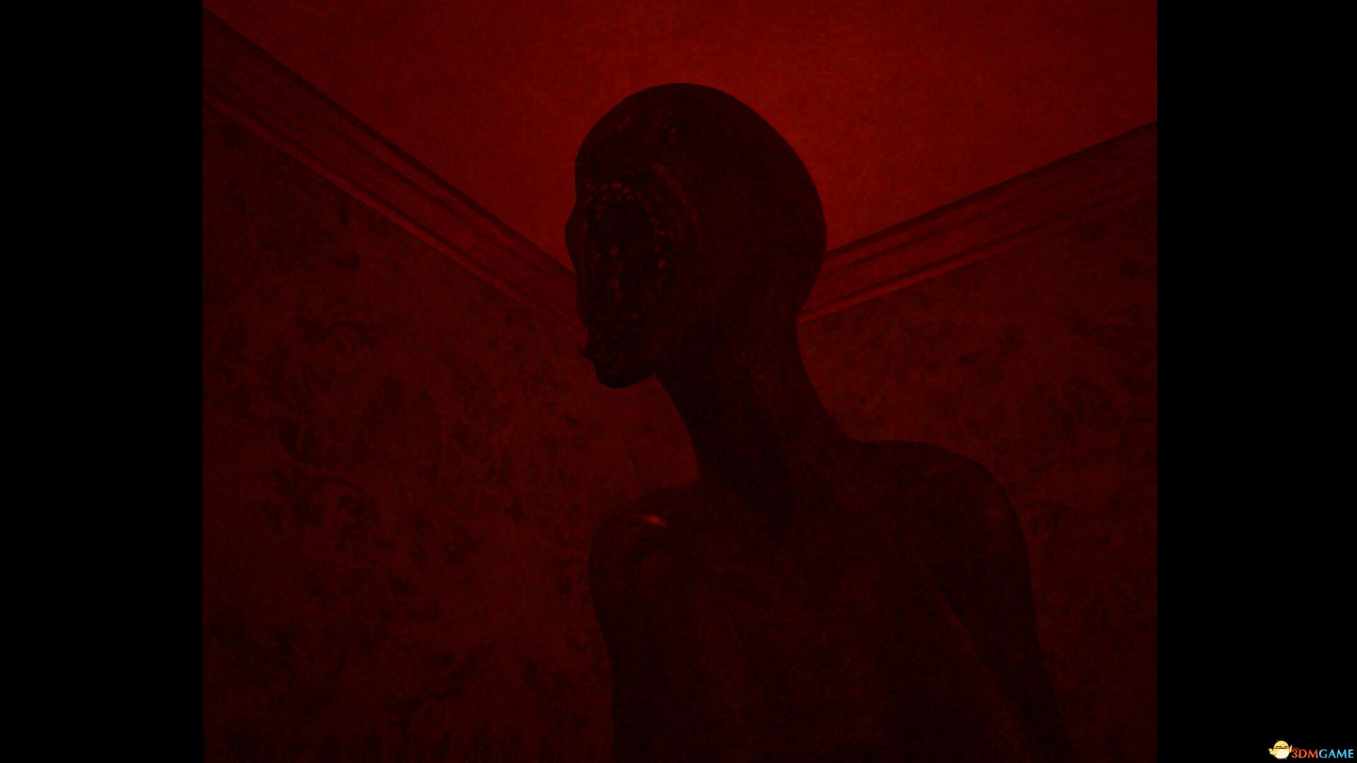 巴布柳娅(BABULYA)|解压即玩|