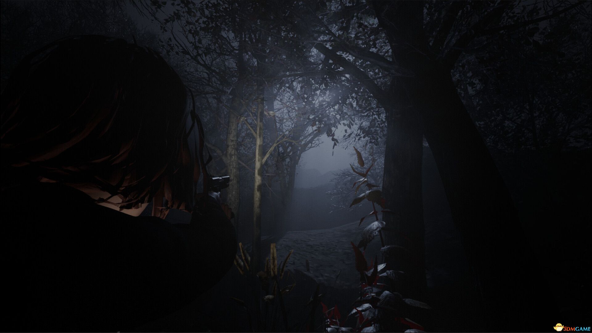 黎明教派（Cult of Dawn）Early Access |解压即玩|