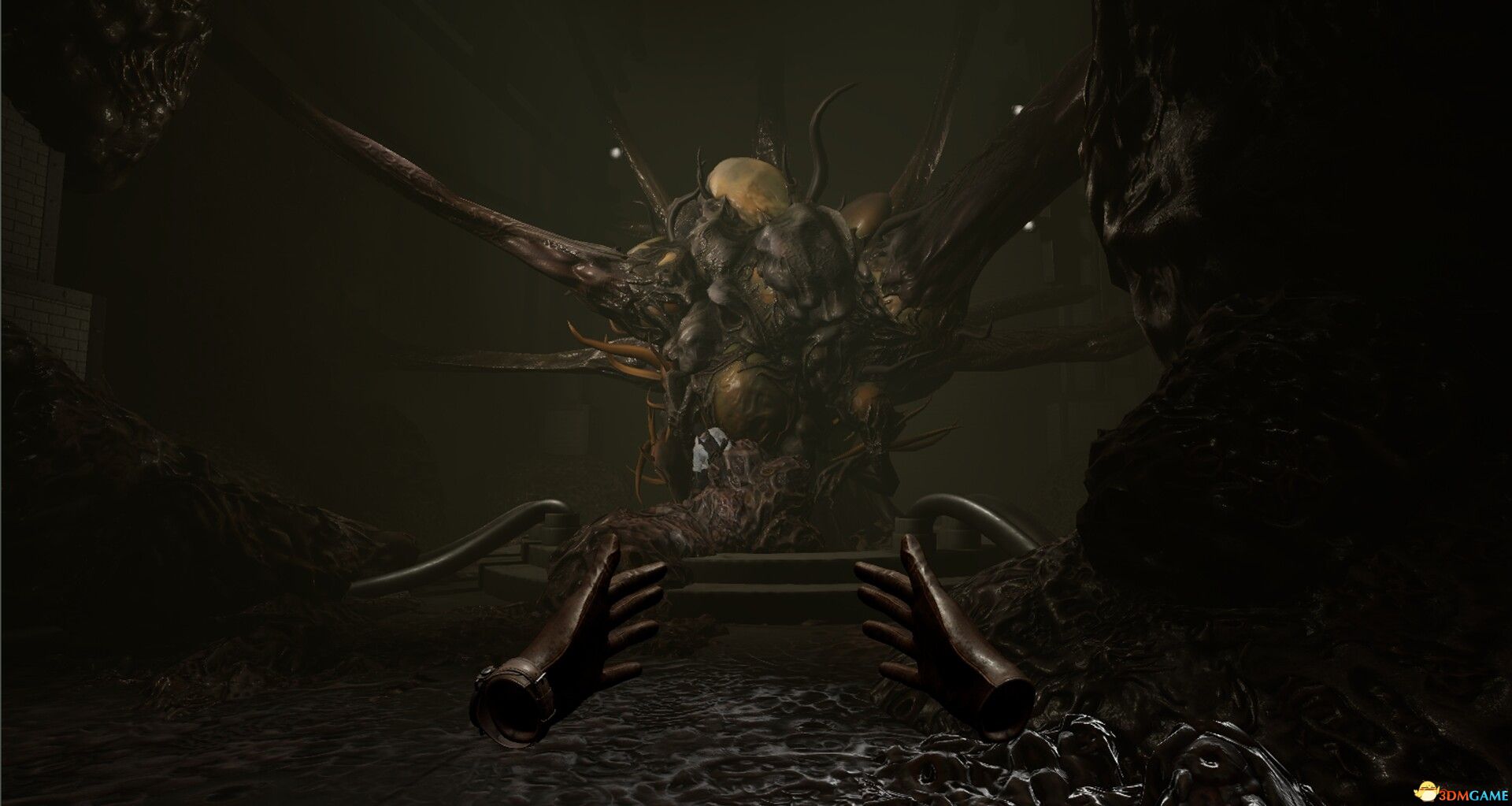 恐怖子午线(Dread Meridian)官方中文 v2026.01.28 |解压即玩|