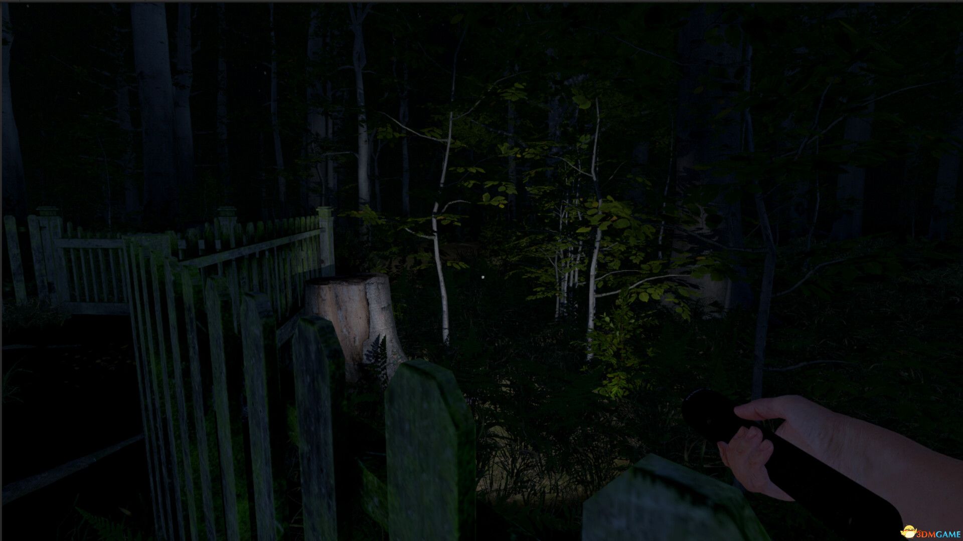 灰人：人类绑架（The Greys: Human Abductions）Build 20258528 |解压即玩|