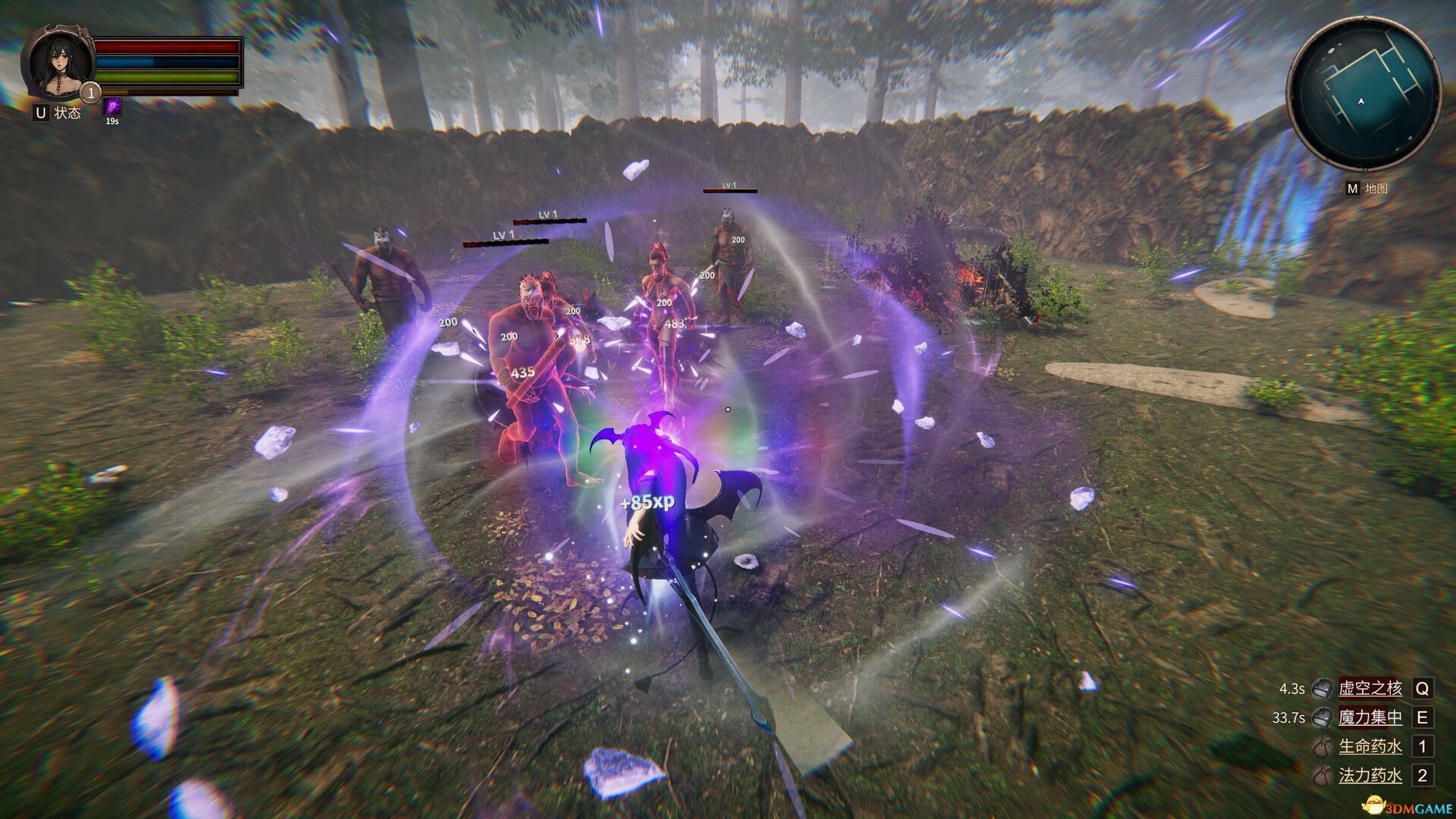 虚幻之地（Realm of Illusion）官方中文 Build 20108383 |解压即玩|