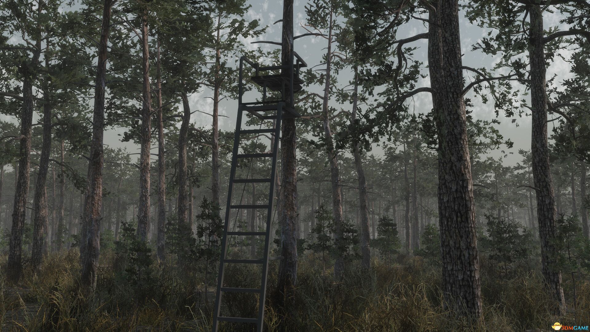 猎鹿营地(Deer Hunting Camp)Build 21634184 |解压即玩|