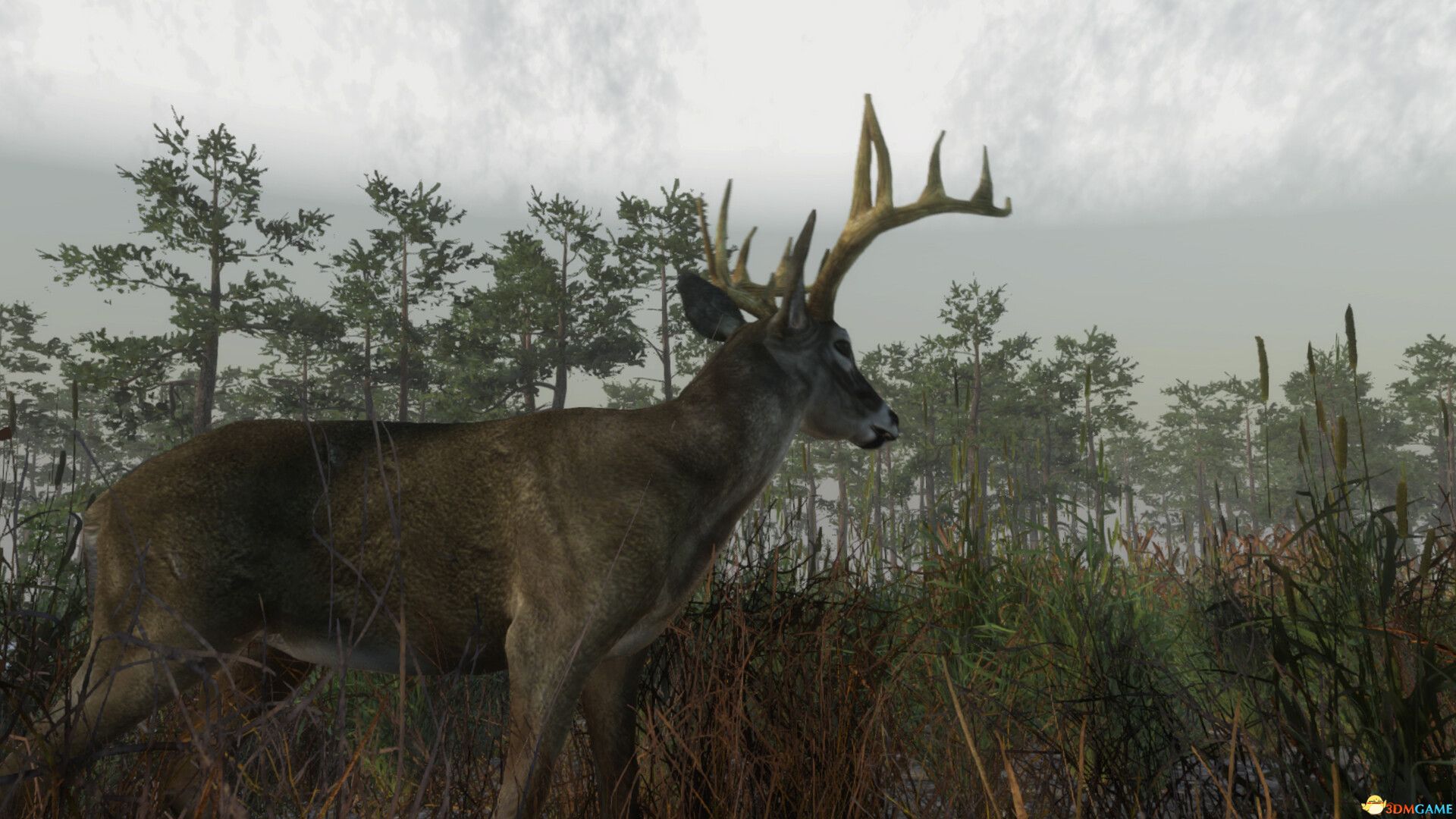 猎鹿营地(Deer Hunting Camp)Build 21634184 |解压即玩|