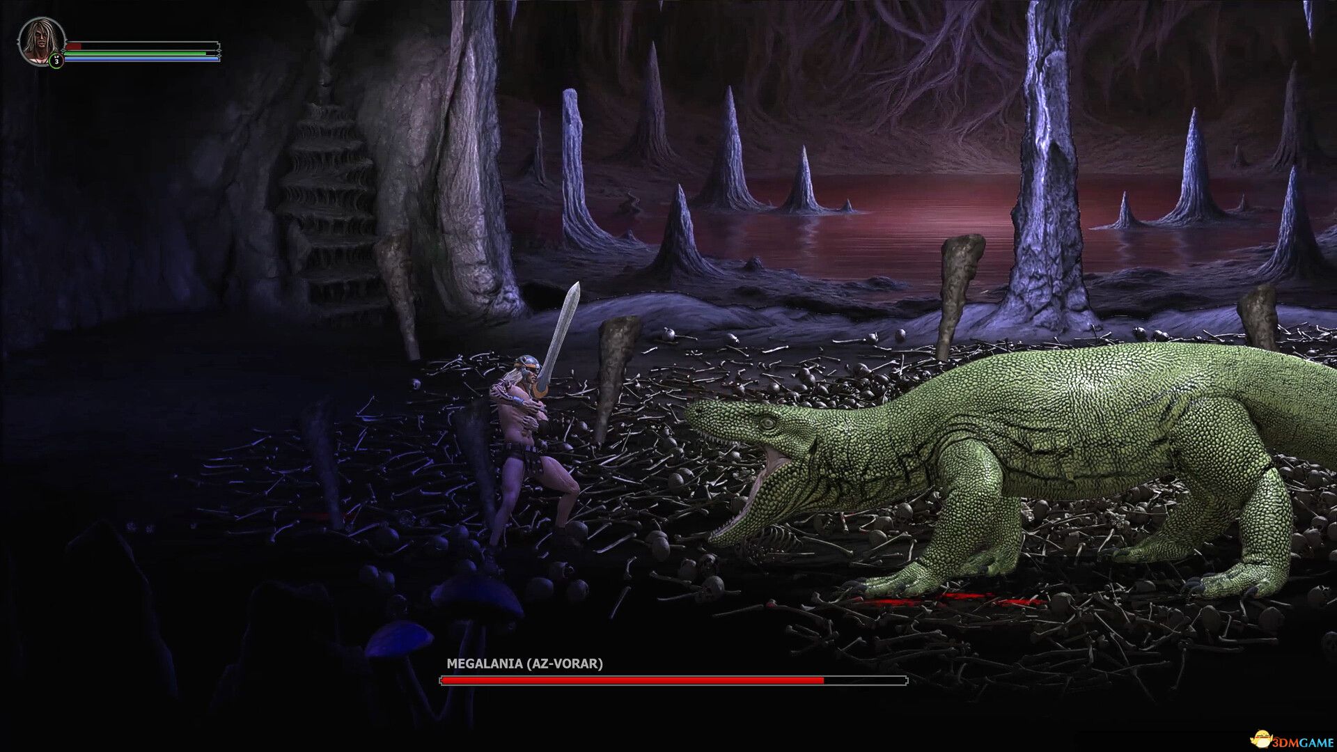 野蛮人时代编年史（Age of Barbarians Chronicles）|解压即玩|