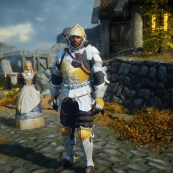 巫师3图森特套装-Witcher 3 Toussain Armor