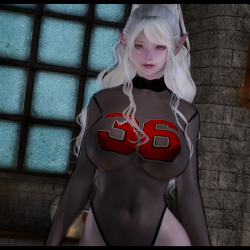 [SE] Stocking Armor 3BA 1.01