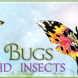 【3DM创意工坊】【汉化+分流】83Willows 101BugsHD Butterfly Dragonfly  28种新昆虫和新材料——还你一个原生态的天际！