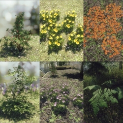环境类Mod>>>>>>独特的花朵和植物