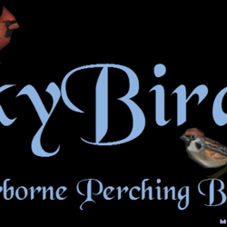 【DRAGONSREACH MOD】天空之鸟 skyBirds - Airborne Perching Birds