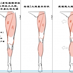 老滚5mod大腿加粗求助