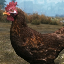 ▲Ⅱ 两个mod：高清鸡神两种颜色版2K&1K，极好的韭葱-chicken HD，The glorious Leek mod Ⅱ▼