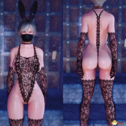 [SE]Lace Bunny CBBE 3BA 情趣服装