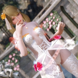 死或生维纳斯康乃馨花套装~[SE][GarudaB] DOAXVV Bouquet Carnation CBBE 3BA