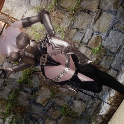 神秘骑士套装~Mysterious knight Armor for Skyrim LE (HDT PE)
